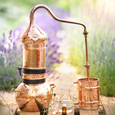 Conseil aromathérapie septembre : Lotion Anti-poux