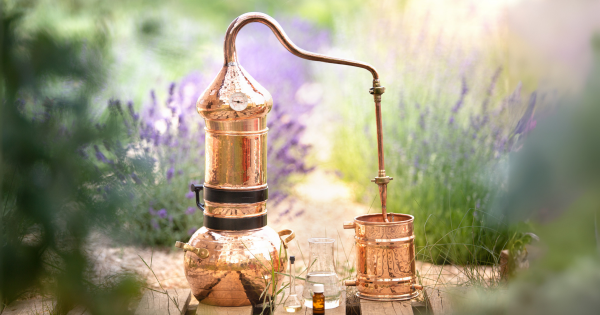 Conseil aromathérapie février : les bons réflexes anti-courbatures