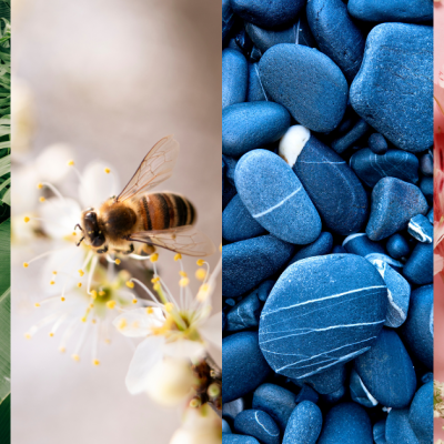 Conseil homéopathie septembre : Stress de la rentrée