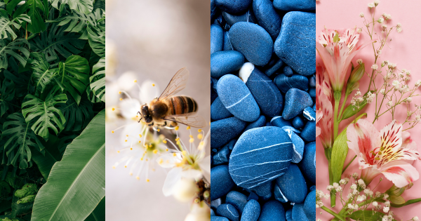 Conseil homéopathie décembre : Comment soigner un état grippal ?